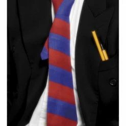 Smiffys School Tie Ties