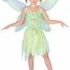 Wicked Kids Costumes All Neverland Fairy