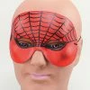 Bristol Spider-man Masquerade