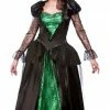 Wicked Witch, Emerald Queen Female Costumes