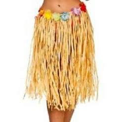 Wicked Female Costumes Hula Skirt Authentic Raffia, Standard