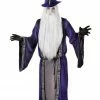 Bristol Wizard Teachers Costumes
