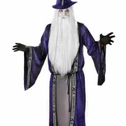 Bristol Wizard Teachers Costumes